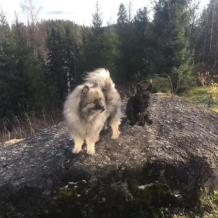 Semesterbostad Tuliranta *