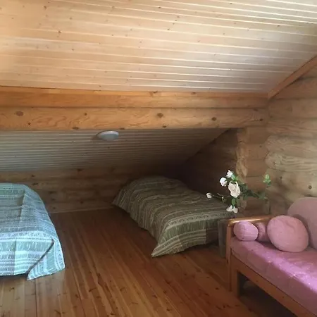 Vakantiehuis Tuliranta Suonenjoki